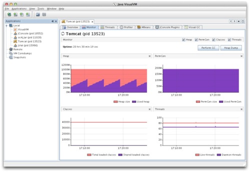 Profiling the JVM with jvisualvm