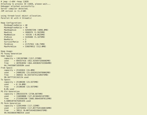 jmap with the -heap option