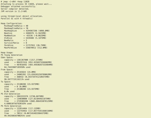 jmap with the -heap option